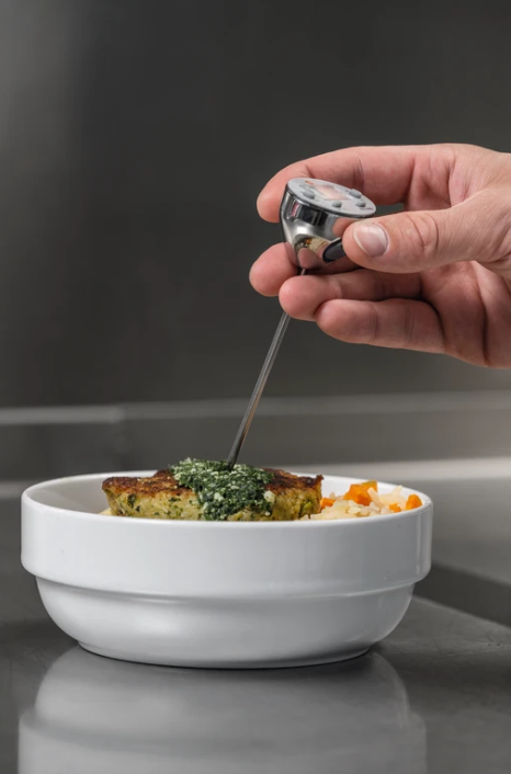 TESTO Waterproof Mini Probe Thermometer