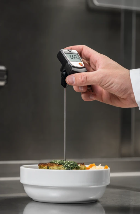 TESTO Penetration Thermometer (Large Measuring Range) | 905-T1