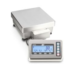 Kern Precision Balance  | FEJ 33K-4M