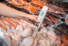 TESTO Food Safety Thermometer | 104-IR