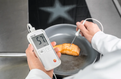 TESTO Digital Food Thermometer | 108