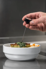 TESTO Mini Penetration Thermometer