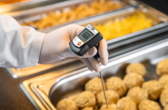 TESTO Penetration Thermometer (Large Measuring Range) | 905-T1