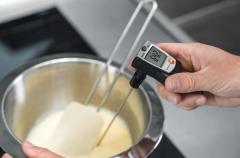 TESTO Penetration Thermometer (Large Measuring Range) | 905-T1
