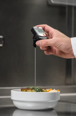 TESTO Penetration Thermometer (Large Measuring Range) | 905-T1