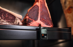 TESTO Temperature and Humidity Mini Data Logger | 174 H