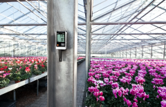 TESTO Temperature and Humidity Data Logger | 175-H1