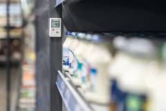 TESTO Mini Temperature Data Logger | 174 T