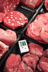 TESTO Mini Data Logger For Temperature in a set | 174 T KIT