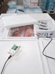 TESTO Temperature Data Logger | 175 T2