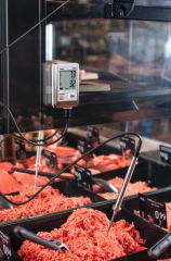 TESTO Temperature Data Logger | 175 T2