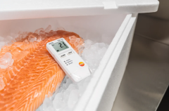 TESTO Temperature Data Logger for Transport Monitoring | 184 T2